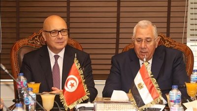 وزير الزراعة يبحث دفع آليات تعزيز التعاون بين مصر وتونس