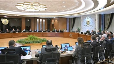 الحكومة توافق على 1600 جنيه سعرًا استرشاديًا لتوريد أردب القمح 