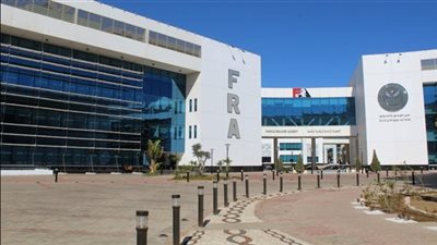 أرصدة تمويل المشروعات المتوسطة والصغيرة ومتناهية الصغر تلامس 48 مليار جنيه