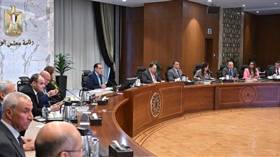 الحكومة توقع اتفاقيات مع 4 شركات لبدء تصنيع السيارات في مصر