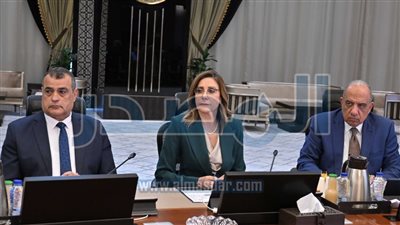  مد العمل بقرار توفيق أوضاع الأجانب في مصر 3 أشهر