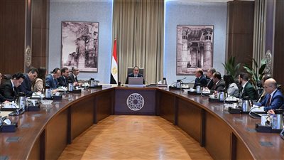 رئيس الوزراء يستعرض دراسة بشأن التحول نحو تقنيات الوقود النظيف وجدواه الاقتصادية