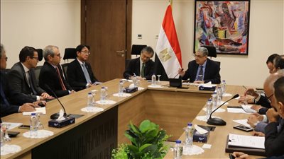 وزير الكهرباء يبحث تعزيز التعاون مع اليابان بمشروعات الطاقة المتجددة والهيدروجين الأخضر 