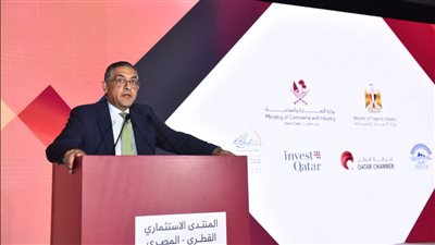 رئيس هيئة الاستثمار: إطلاق المنصة الإلكترونية للرخصة الذهبية خلال أيام