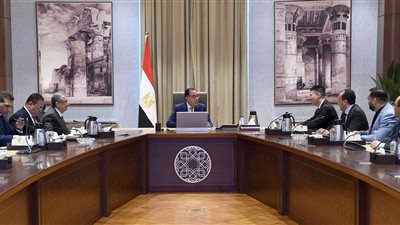 «لونجي» الصينية تستهدف إقامة مصنع للهيدروجين الأخضر في مصر