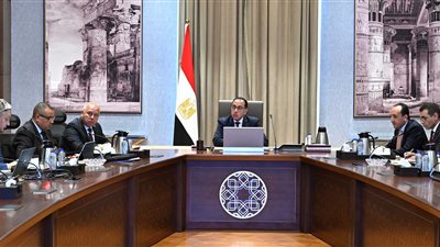 رئيس الوزراء يتابع مستجدات مشروع تطوير ميناء ومدينة جرجوب الصناعية