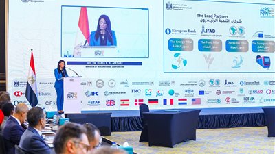  «المشاط»: برنامج «نوفي» نموذج للمنصات الوطنية المبنية على مبادئ ملكية الدولة 