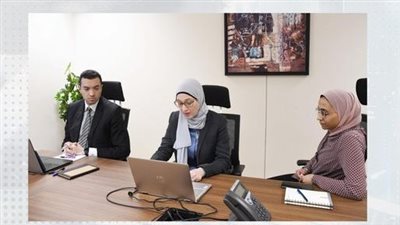 «التخطيط» تعقد ورشة عمل حول «تحفيز التحول نحو تخضير الاستثمارات الوطنية» 