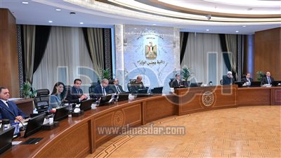 مجلس الوزراء يوافق على تخصيص أراضي بتوشكى لمشروعات الاستصلاح والاستزراع