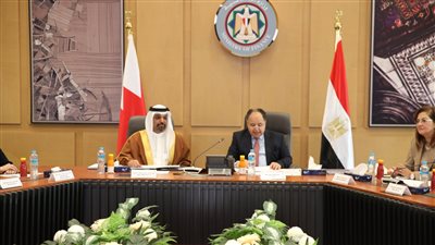 مصر والبحرين يتفقان على تعميق أوجه التعاون في الاستثمار المباشر بقطاعات استراتيجية وحيوية