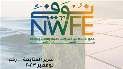 بدء تنفيذ اتفاق مبادلة ديون بين مصر وألمانيا بقيمة 104 ملايين يورو