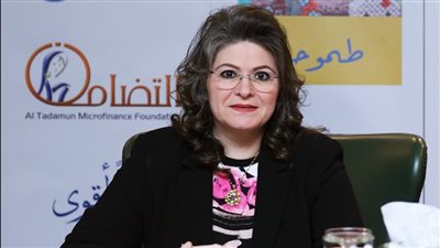 مؤسسة التضامن للتمويل الأصغر تضخ 1.65 مليار جنيه خلال 9 أشهر