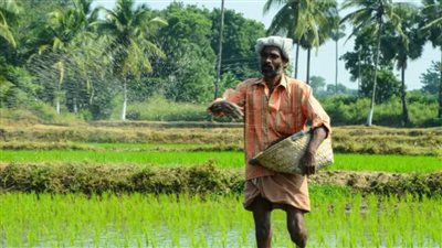 توقيع 134 دولة على إعلان COP28 بشأن النُظم الغذائية والزراعة