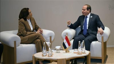  السيسي ونائبة الرئيس الأمريكي يؤكدان الحرص على تعزيز التعاون الاستراتيجي بمختلف المجالات