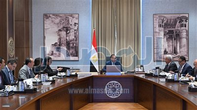 شركة عالمية تعرض إنشاء مشروعا لإنتاج الأمونيا الخضراء في مصر باستثمارات مليار دولار