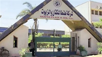 زيادة رأس مال شركة طنطا للكتان والزيوت إلى 120 مليون جنيه