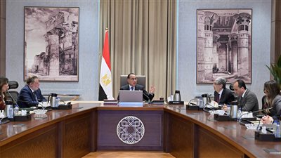 رئيس الوزراء يبحث سبل زيادة مساهمة الطاقة المتجددة في مزيج الطاقة