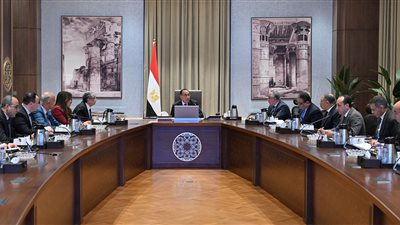 رئيس الوزراء يتابع موقف تخصيص أراضي مشروعات إنتاج الهيدروجين الأخضر 