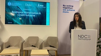 وزيرة التعاون الدولي تؤكد ضرورة زيادة استثمارات مشروعات التكيف لتلبية احتياجات البلدان النامية