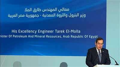  وزير البترول يؤكد أهمية العمل العربي المشترك لتحسين كفاءة استخدام الطاقة