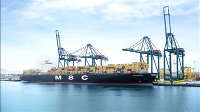 أكبر شركة شحن حاويات بالعالم تعلق عبور سفنها في البحر الأحمر