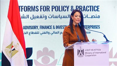 «التعاون الدولي»: 4.1 مليار دولار معدل السحب السنوي من محفظة التمويل الإنمائي