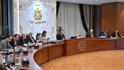  الحكومة توافق على شراكة مع القطاع الخاص لإدارة مدارس «النيل» و «اليابانية» 