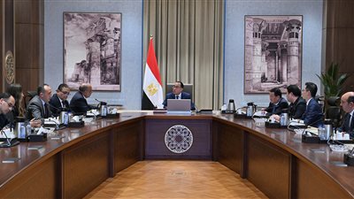 رئيس الوزراء يبحث فرص التمويل الصيني لمشروعات الخلايا الشمسية وأشباه الموصلات بمصر