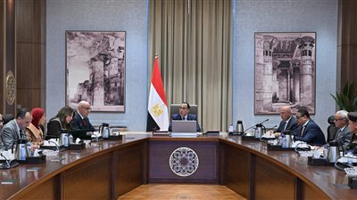 رئيس الوزراء يستعرض مخططات تنمية منطقة الضبعة