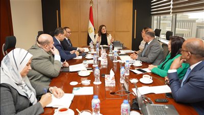 وزيرة التخطيط تتابع الموقف التنفيذي للمشروع القومي لتنمية الأسرة المصرية