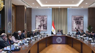 الحكومة تبدأ تدقيق أعداد اللاجئين وتكلفة ما تتحمله الدولة من خدمات لرعايتهم