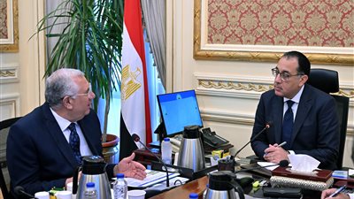 الحكومة: زراعة 3 ملايين فدان قمح بزيادة نصف مليون عن العام الماضي