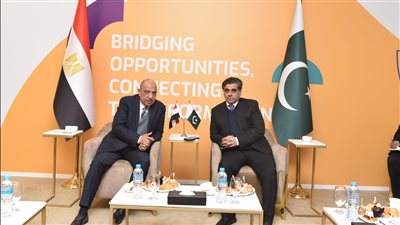مصر تبحث تعزيز التعاون مع باكستان وإتاحة فرص جديدة للاستثمار