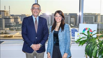 «المشاط» تبحث تعزيز التعاون المشترك بين هيئة الاستثمار وشركاء التنمية