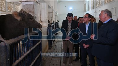 رئيس الوزراء: تنمية الثروة الحيوانية على رأس اهتمامات الحكومة لتحقيق الأمن الغذائي 