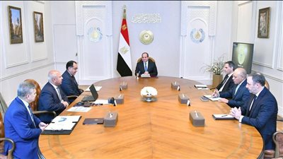 الرئيس السيسى يبحث تعزيز أطر التعاون المشترك مع شركة CMA CGM الفرنسية 