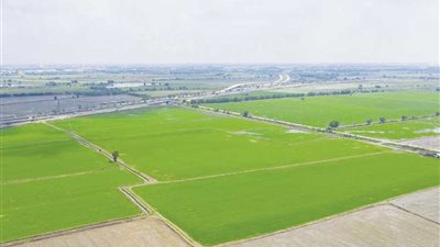 إبراهيم عشماوي: طرح عدداً من الحاصلات الزراعية والسلع الغذائية بالبورصة السلعية قريباً 