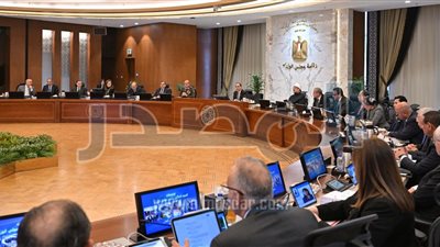 الحكومة توافق على التعاقد للبحث عن البترول وتنميته واستغلاله بالصحراء الغربية