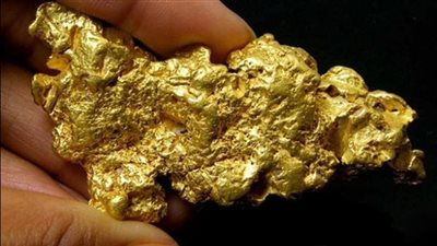 زيادة إنتاج «السكري للذهب» 17% خلال العام الماضي