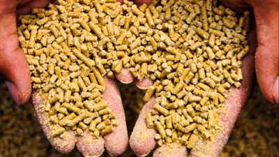 «سوبريم القابضة» تتحالف مع شركة إنجليزية لإنشاء 4 مصانع أعلاف في مصر