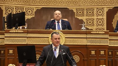 وزير السياحة أمام «الشيوخ»: بدء تنفيذ حوافز الاستثمار الفندقي خلال أيام