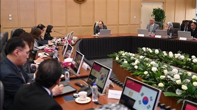 مصر تسعى لإنشاء نظام رقمي لرقابة استيراد السلع الصناعية وغير الغذائية