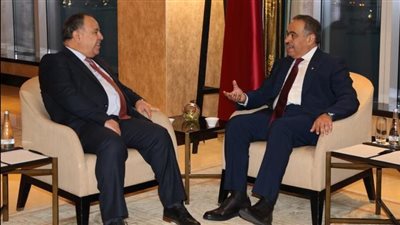 وزير المالية: حريصون على تعزيز التعاون الضريبي والجمركي بين مصر و قطر