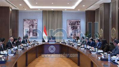 «يازاكي» اليابانية تبدأ تصنيع ضفائر السيارات بالفيوم باستمارات 30 مليون يورو