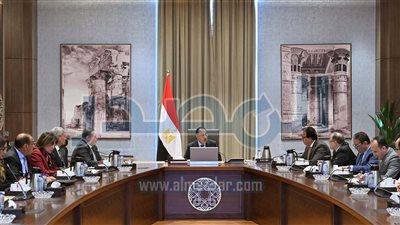 الحكومة: 5 شركات عالمية في مجال المعامل الصحية ستوطِّن صناعاتها في مصر 