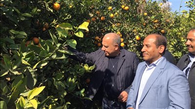 وزير قطاع الأعمال: مشروعات جديدة للتصنيع الزراعي والإنتاج الحيواني والداجني 