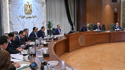 رئيس الوزراء يوجه بإعداد رؤية متكاملة لتصنيع مدخلات الإنتاج محليًا