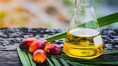 سفير القاهرة يبحث مع وزير السلع الماليزى التعاون لتكرير زيت النخيل بمصر