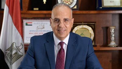 دمج شركة الري للأشغال العامة مع «الكراكات المصرية»