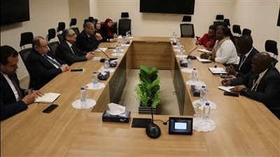 وزير الكهرباء يبحث سبل تعزيز التعاون المشترك مع تنزانيا